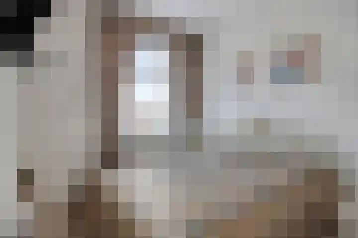 Javastraat 68 Tilburg thumbnail 22