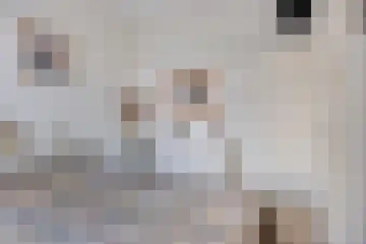 Javastraat 68 Tilburg thumbnail 23