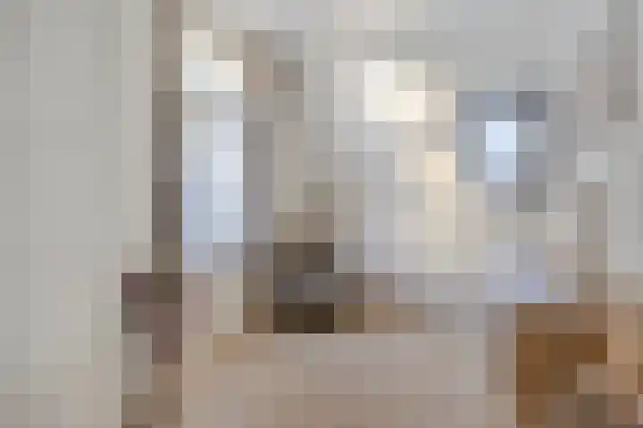 Javastraat 68 Tilburg thumbnail 24