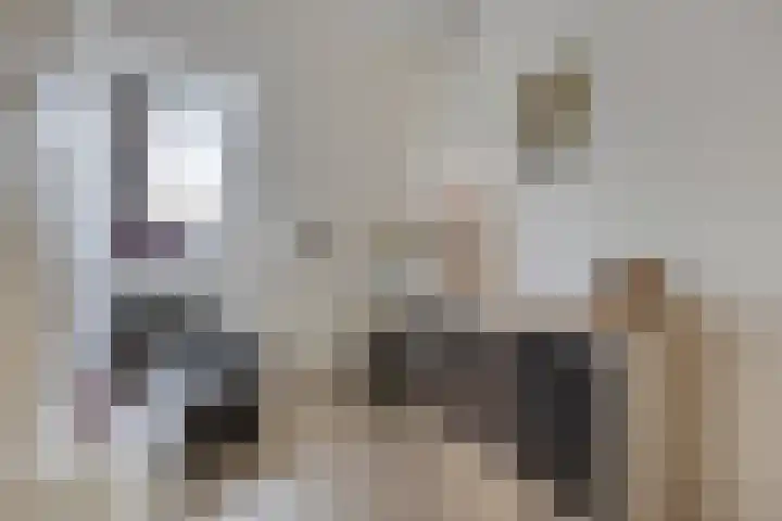 Javastraat 68 Tilburg thumbnail 26