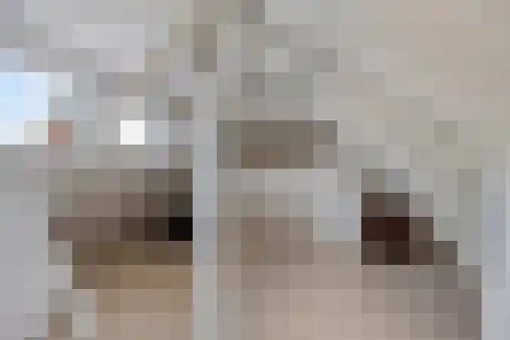Javastraat 68 Tilburg thumbnail 28