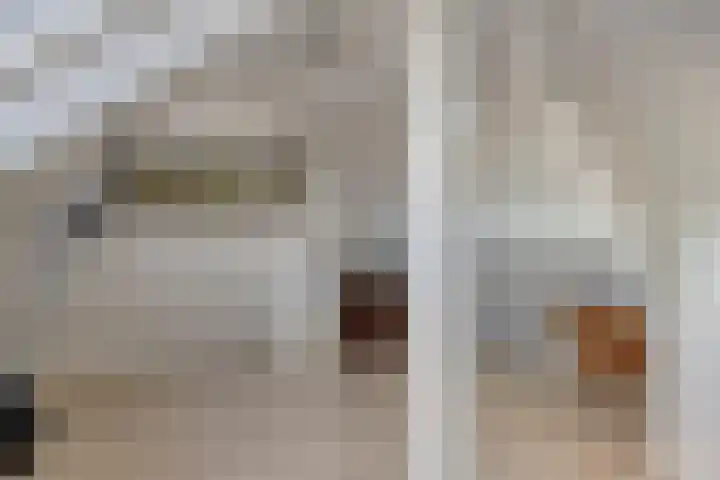 Javastraat 68 Tilburg thumbnail 30