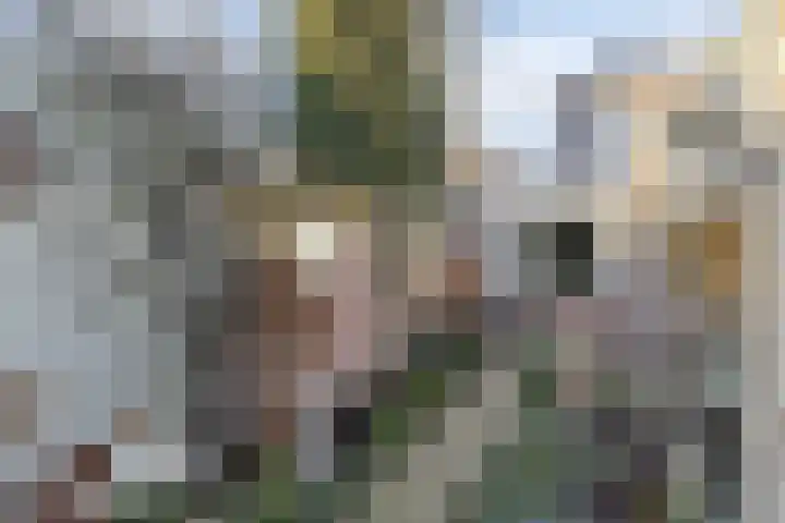 Javastraat 68 Tilburg thumbnail 32