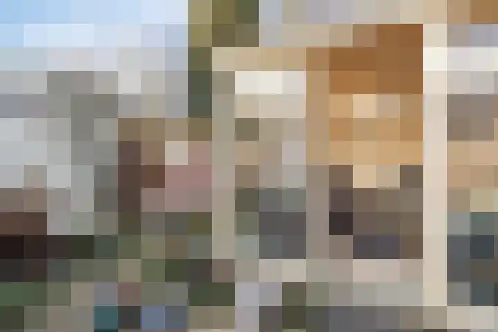 Javastraat 68 Tilburg thumbnail 35