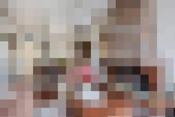 Javastraat 68 Tilburg thumbnail 4