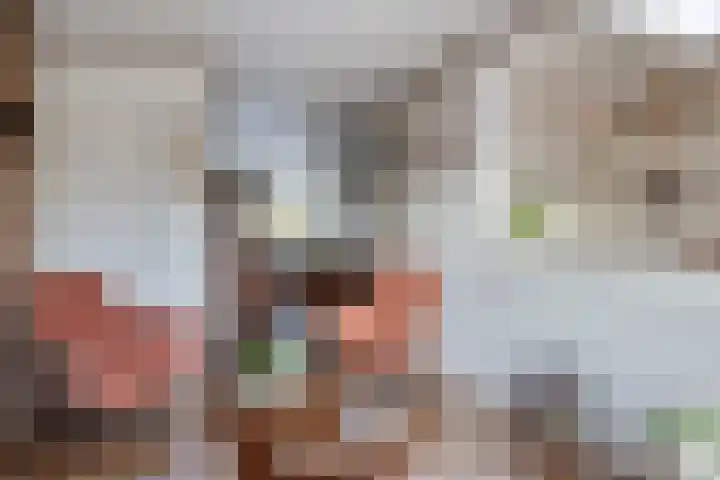 Javastraat 68 Tilburg thumbnail 9