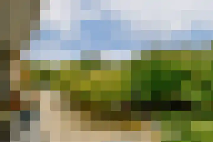 Javastraat 703 Amsterdam thumbnail 14