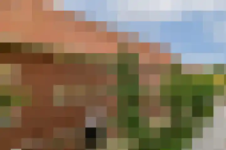 Javastraat 703 Amsterdam thumbnail 15
