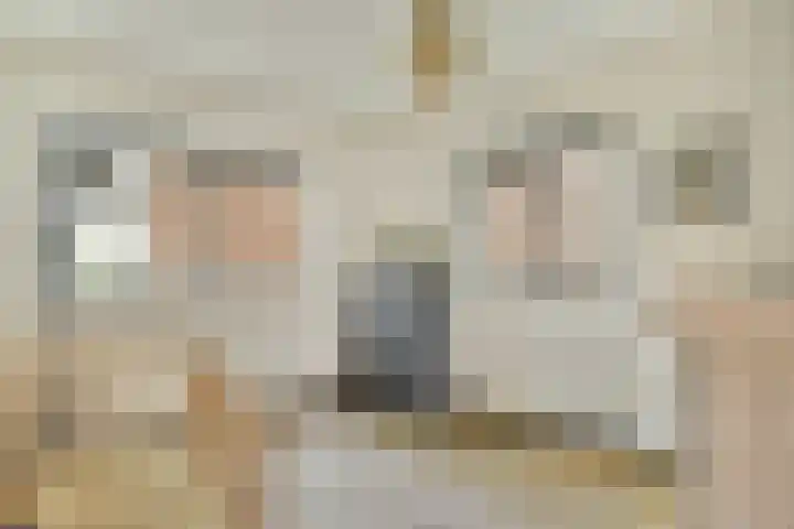 Javastraat 703 Amsterdam thumbnail 20