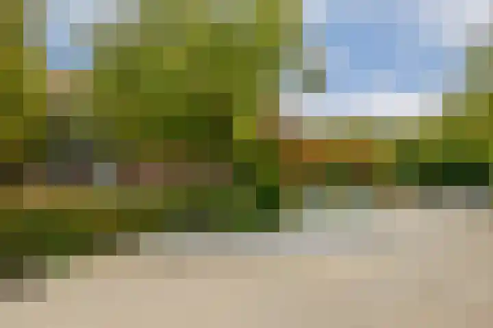 Javastraat 703 Amsterdam thumbnail 24