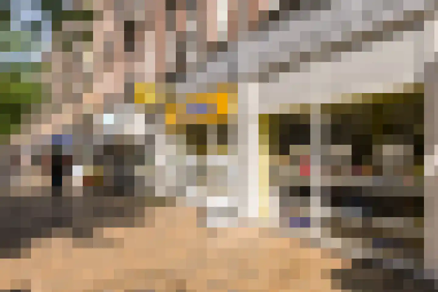 Javastraat 72 1 Amsterdam thumbnail 18