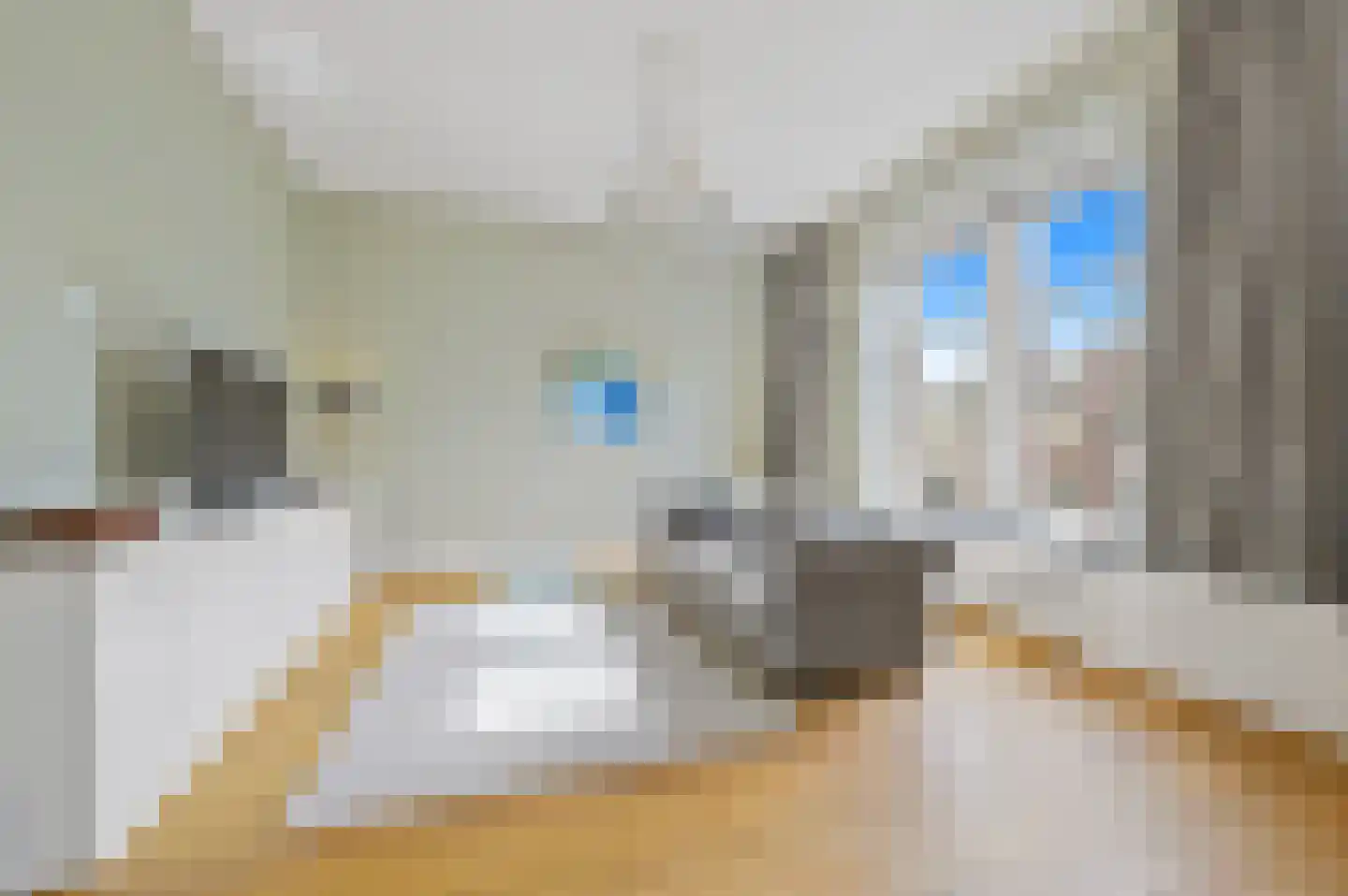 Javastraat 74 B Den Haag thumbnail 14