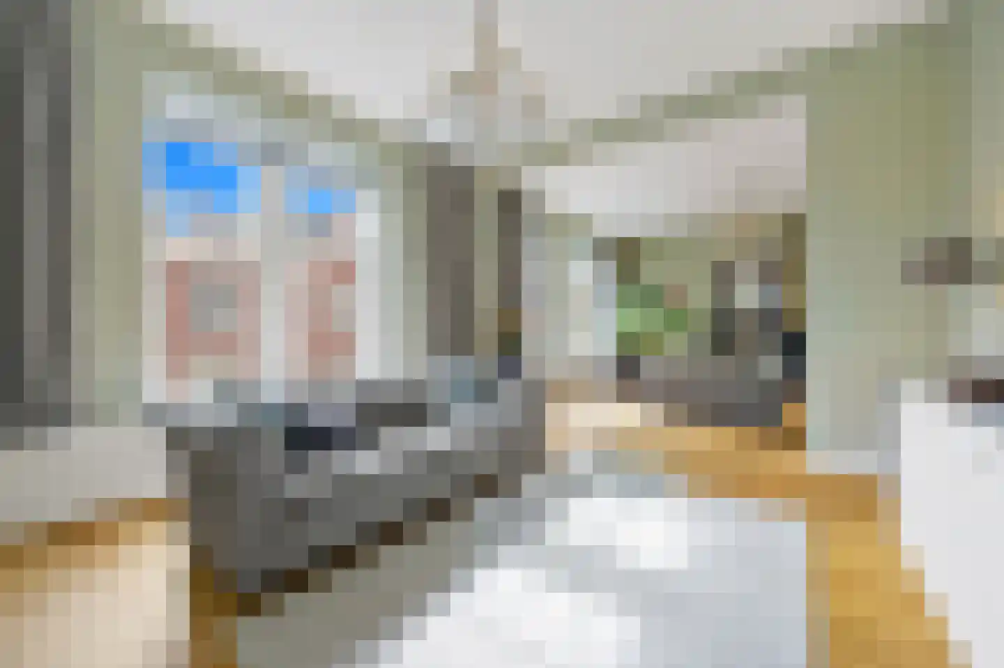 Javastraat 74 B Den Haag thumbnail 15