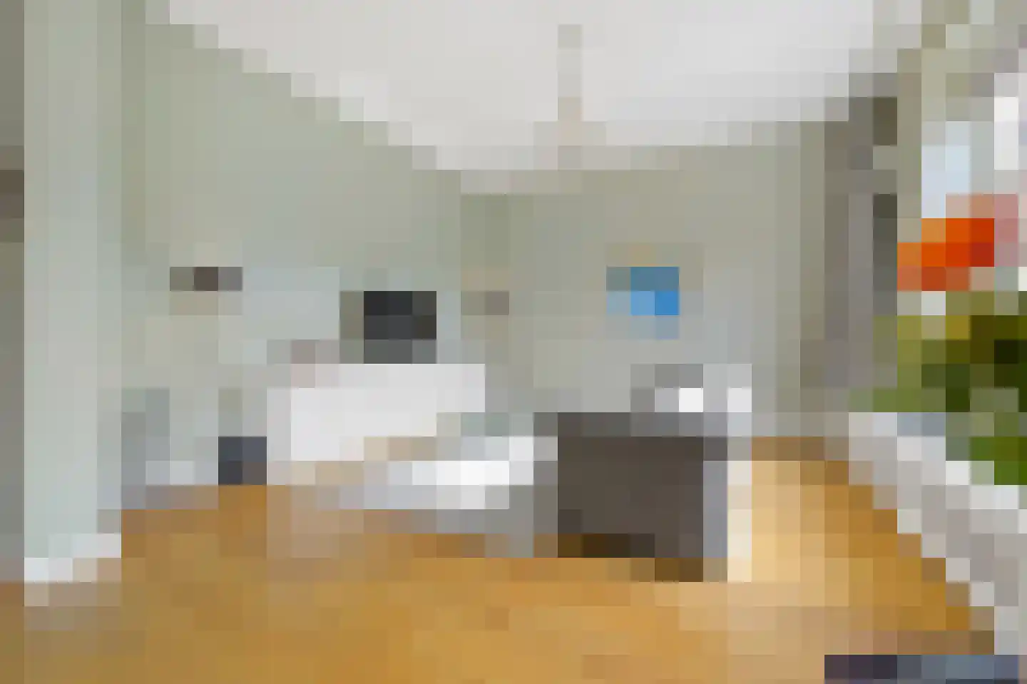 Javastraat 74 B Den Haag thumbnail 16