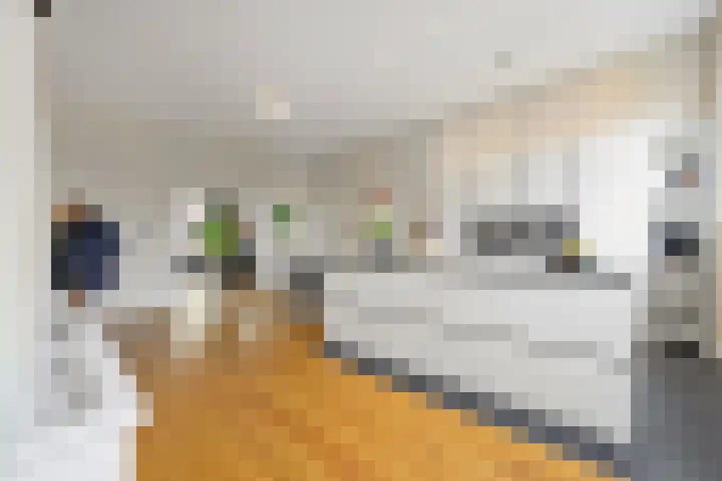 Javastraat 74 B Den Haag thumbnail 19