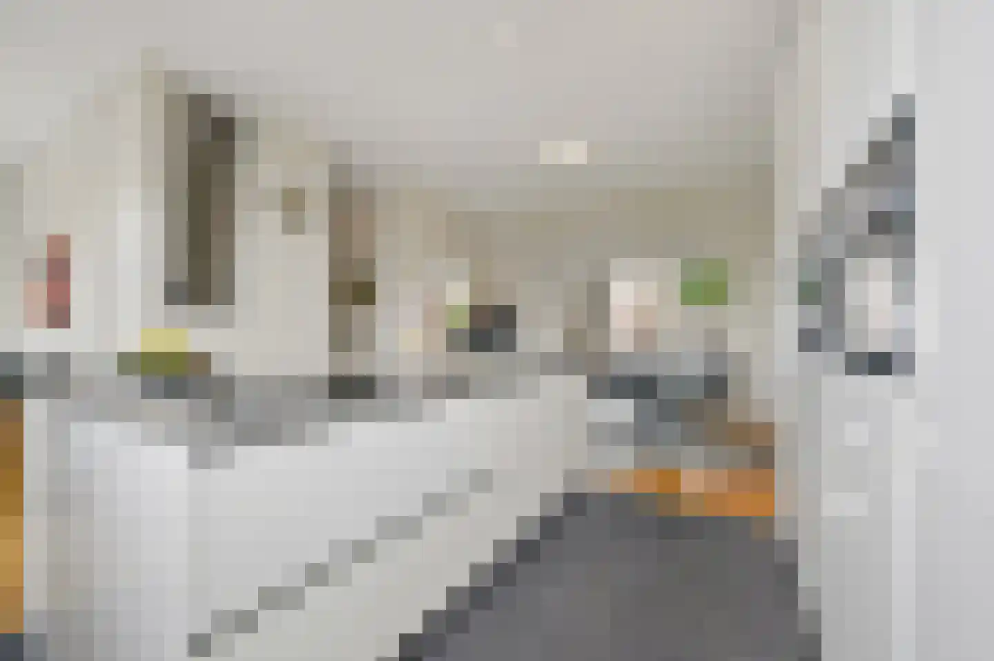 Javastraat 74 B Den Haag thumbnail 21