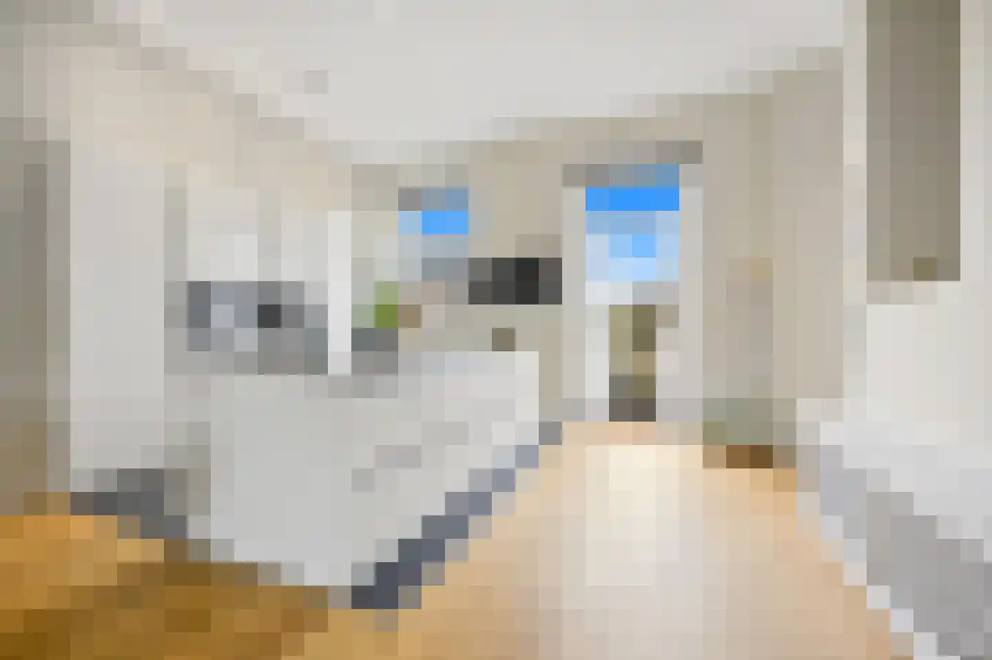 Javastraat 74 B Den Haag thumbnail 22