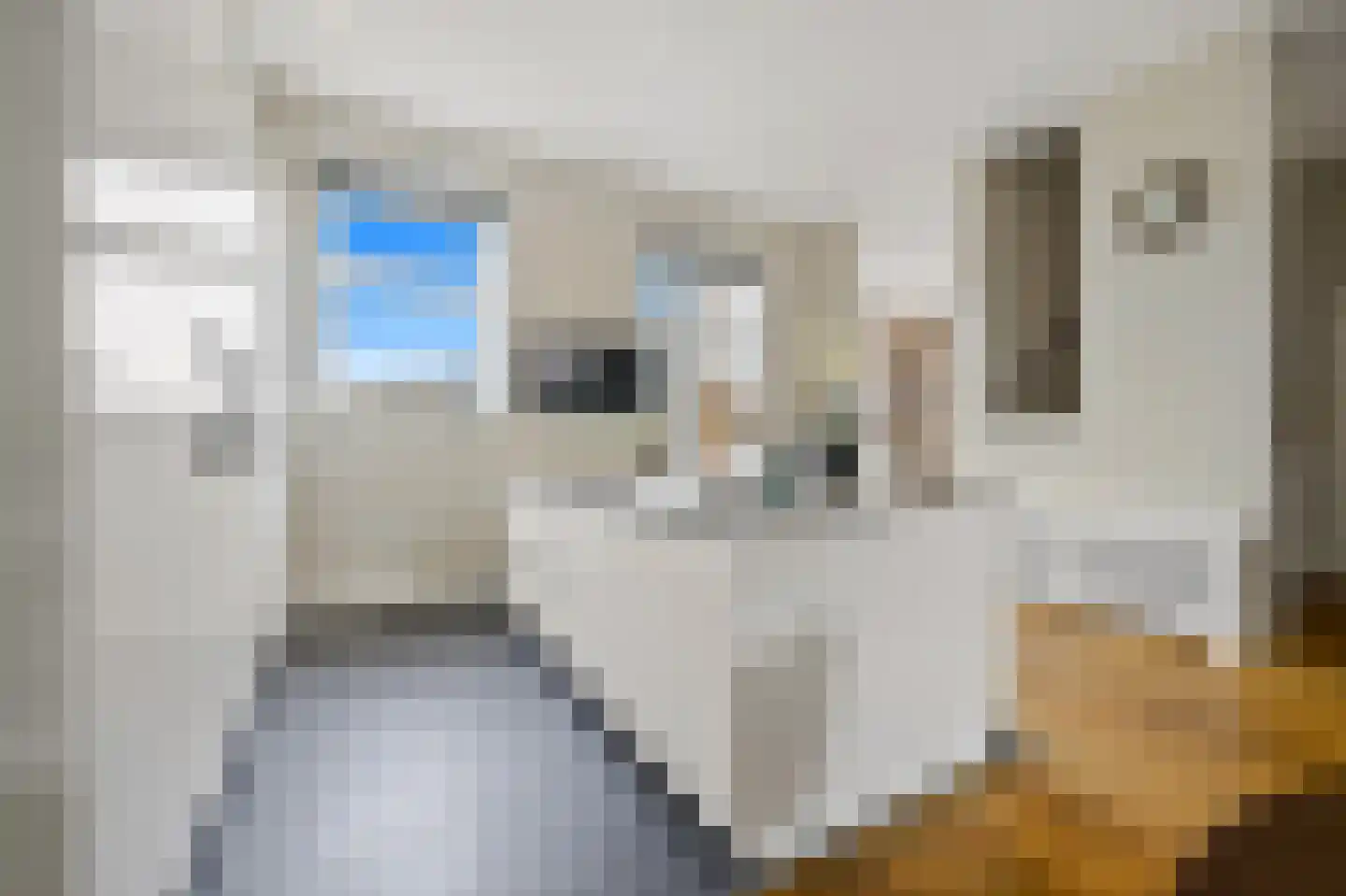 Javastraat 74 B Den Haag thumbnail 24