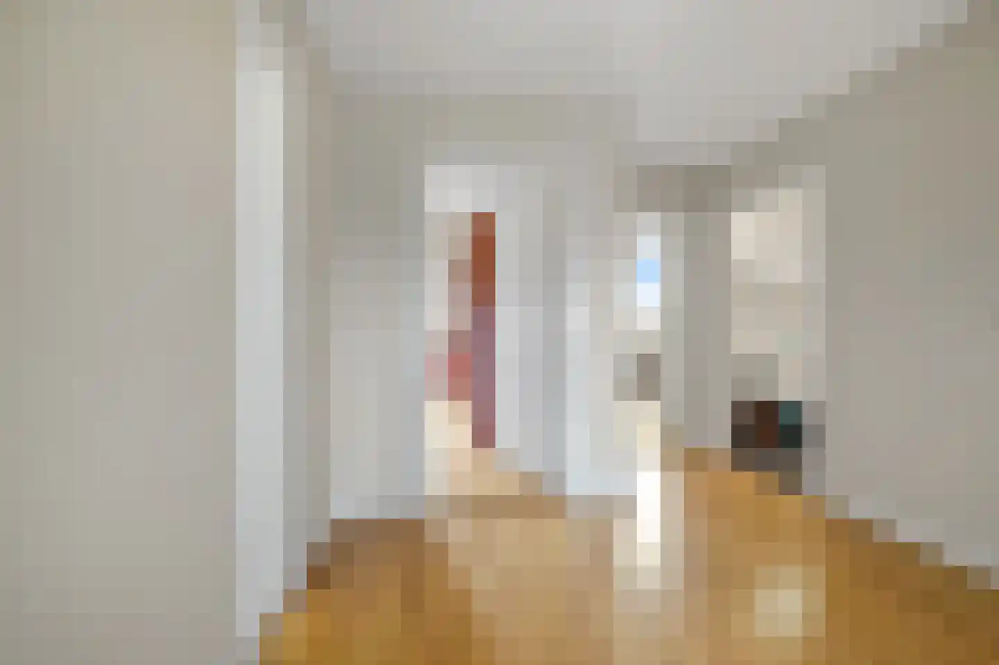 Javastraat 74 B Den Haag thumbnail 33