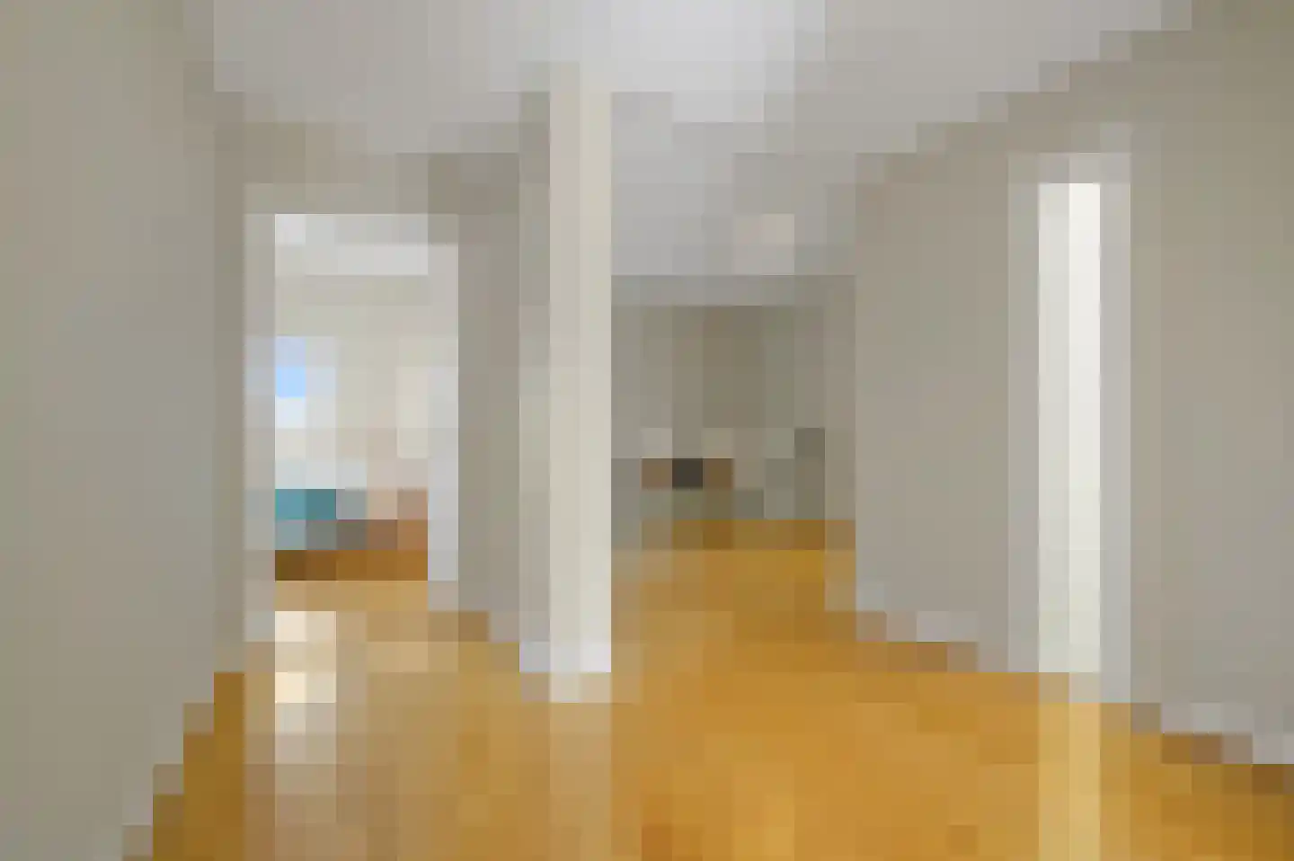 Javastraat 74 B Den Haag thumbnail 43