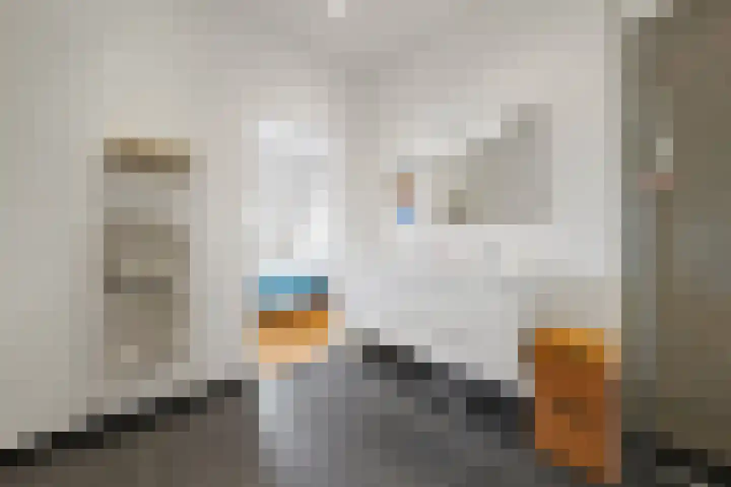 Javastraat 74 B Den Haag thumbnail 47
