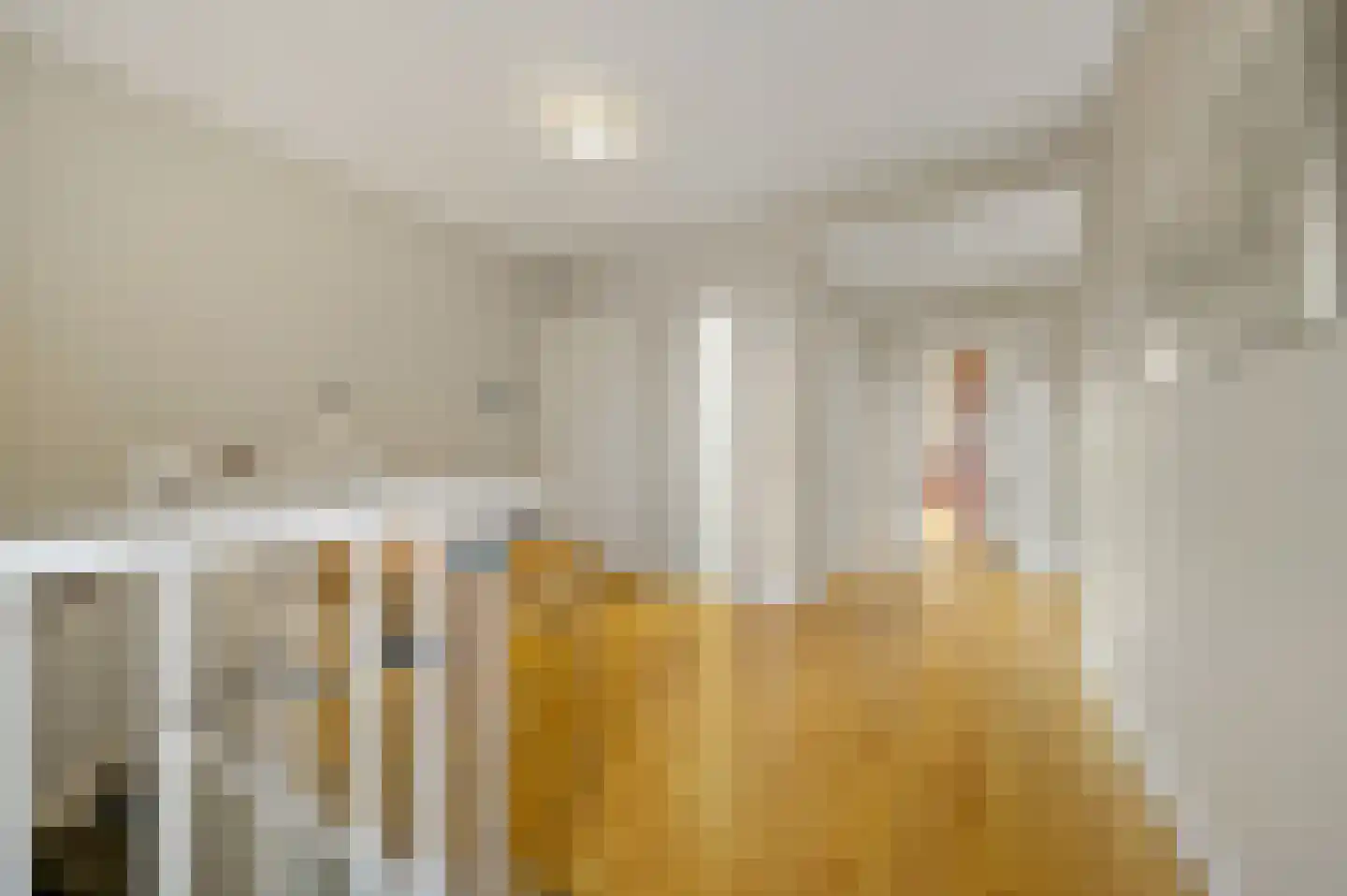 Javastraat 74 B Den Haag thumbnail 50