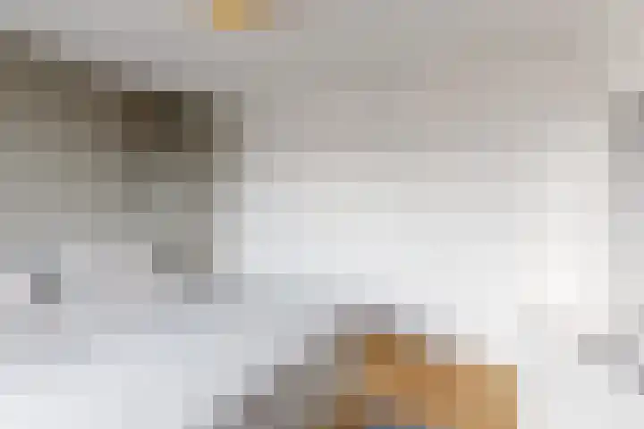Javastraat 74 Roermond thumbnail 14