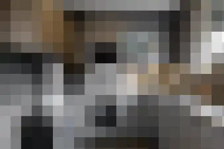 Javastraat 75 Roermond thumbnail 11