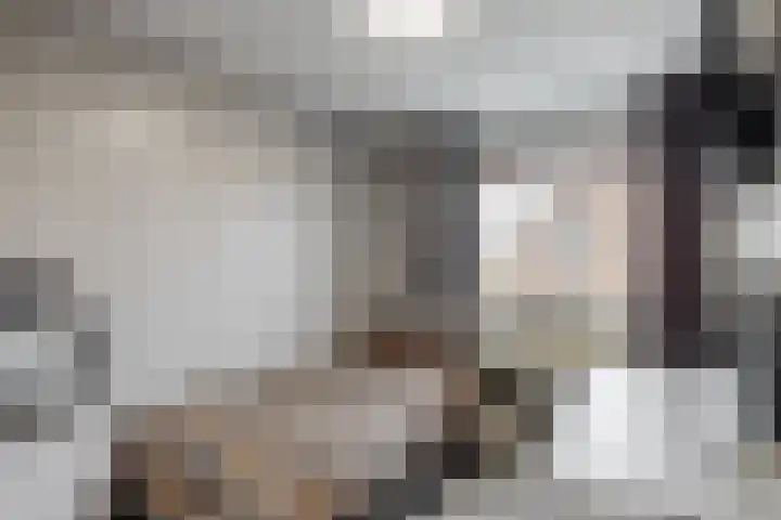 Javastraat 75 Roermond thumbnail 15