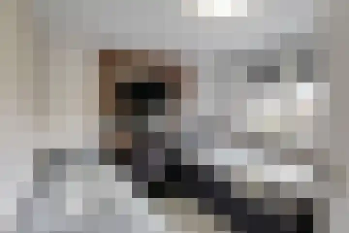 Javastraat 75 Roermond thumbnail 17