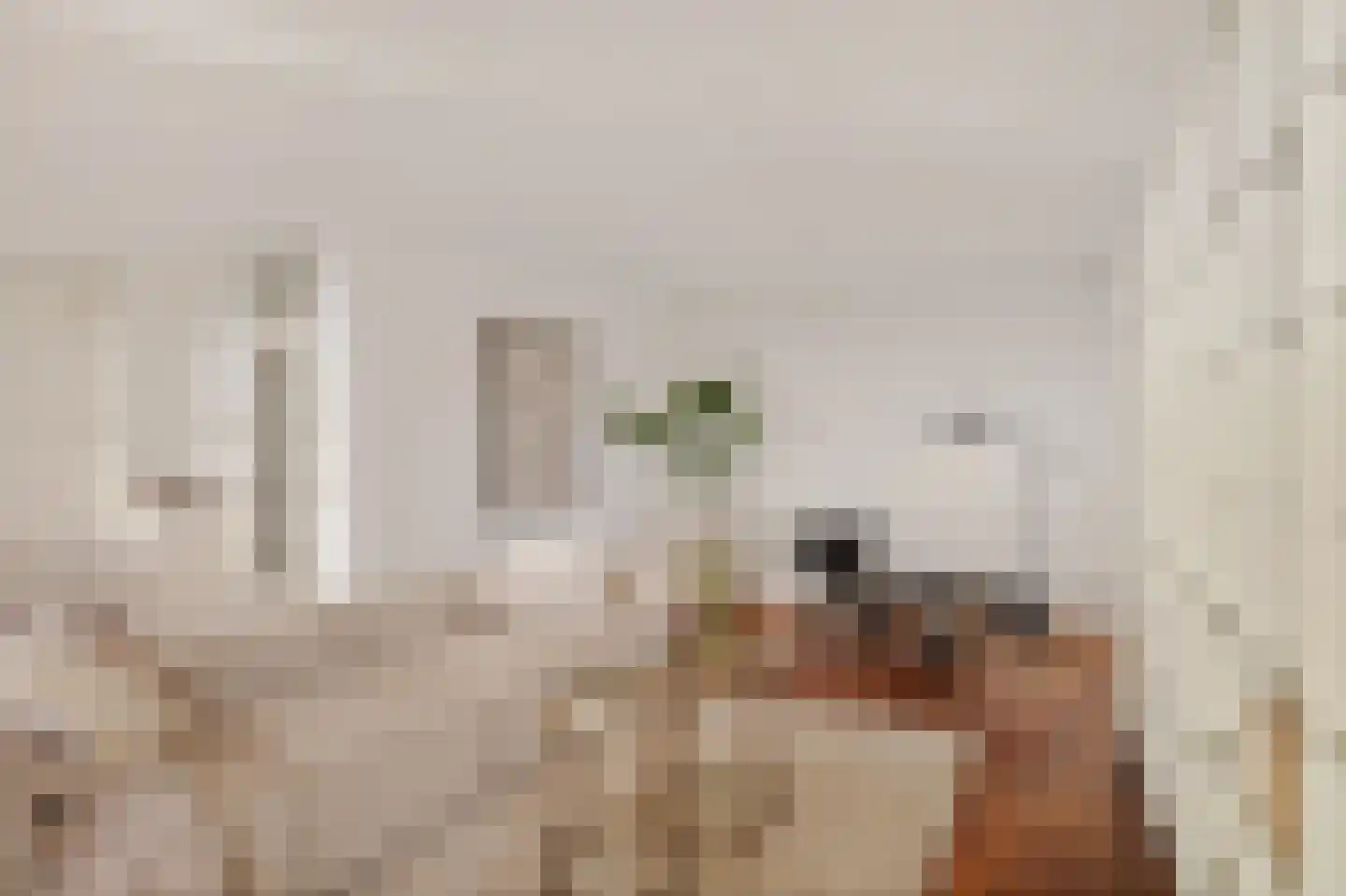 Javastraat 775 Amsterdam thumbnail 8