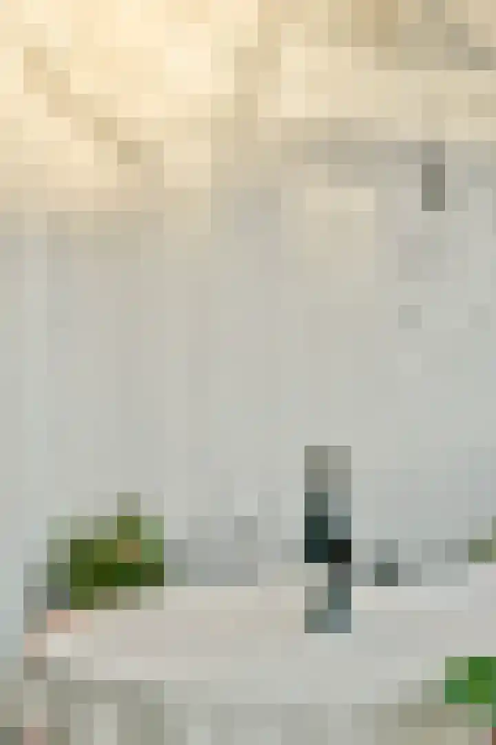 Javastraat 80 H Amsterdam thumbnail 21