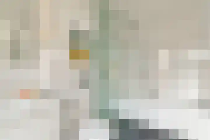 Javastraat 80 H Amsterdam thumbnail 23