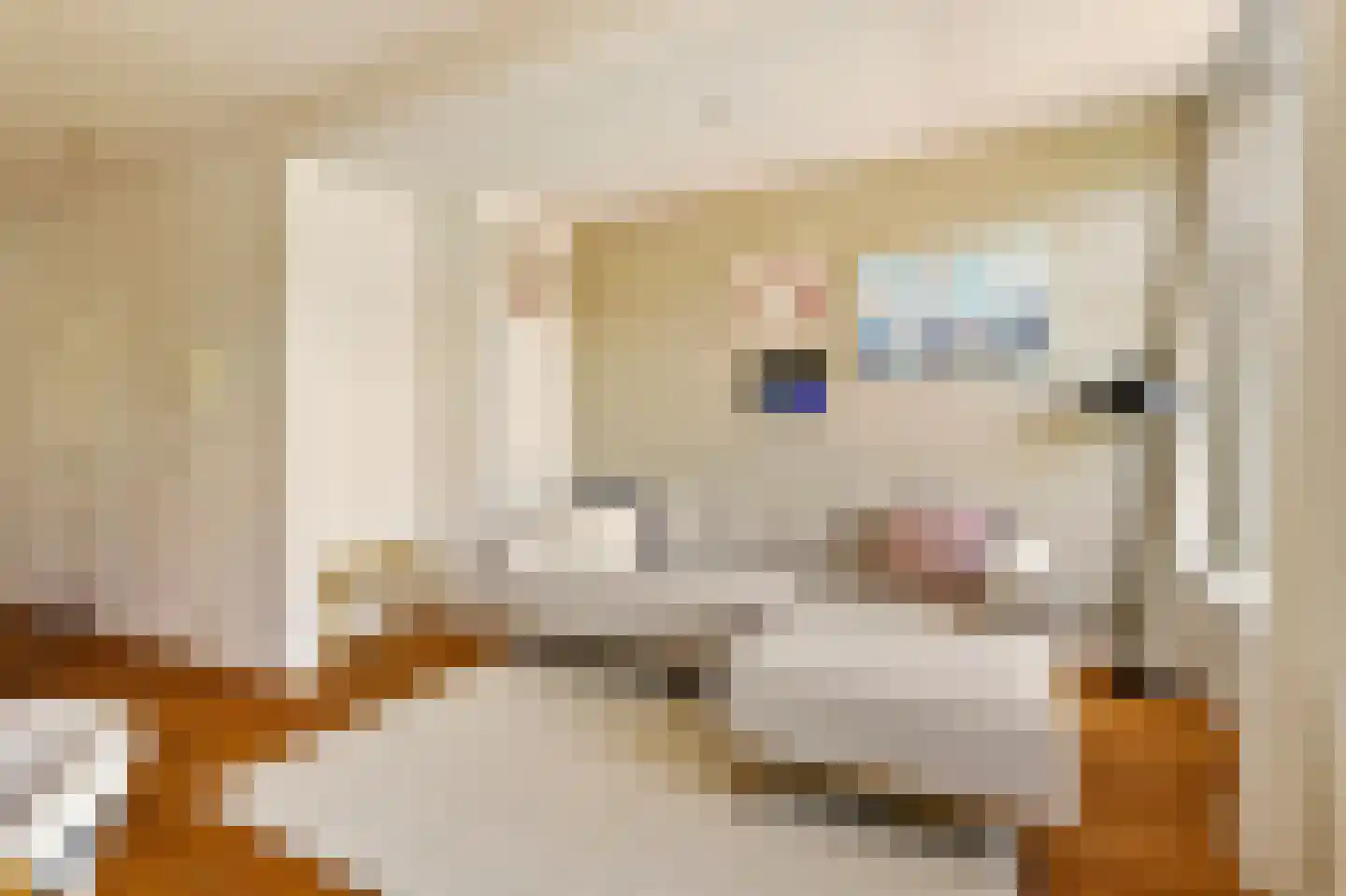 Javastraat 80 H Amsterdam thumbnail 4
