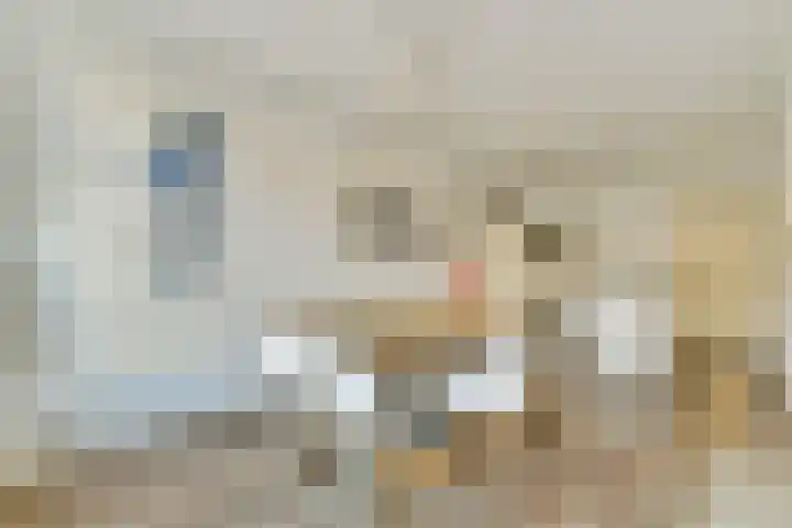 Javastraat 80 H Amsterdam thumbnail 7
