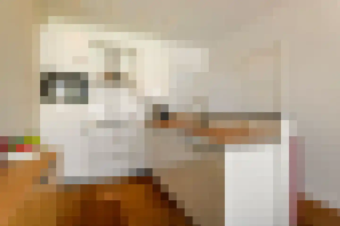 Javastraat 80 H Amsterdam thumbnail 9