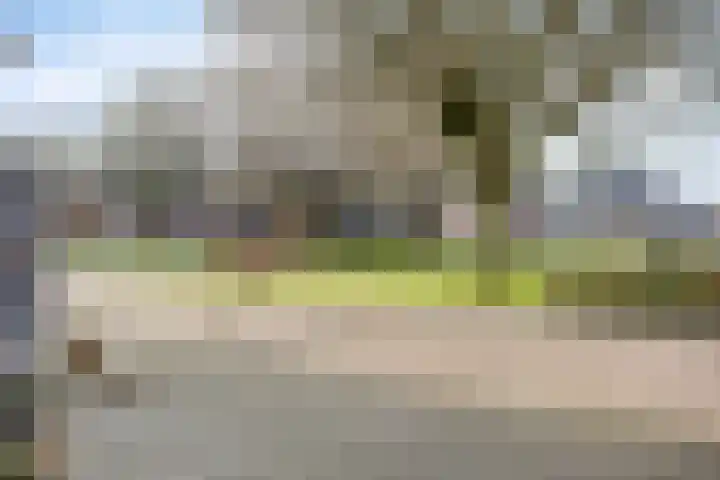 Javastraat 84 Enschede thumbnail 33