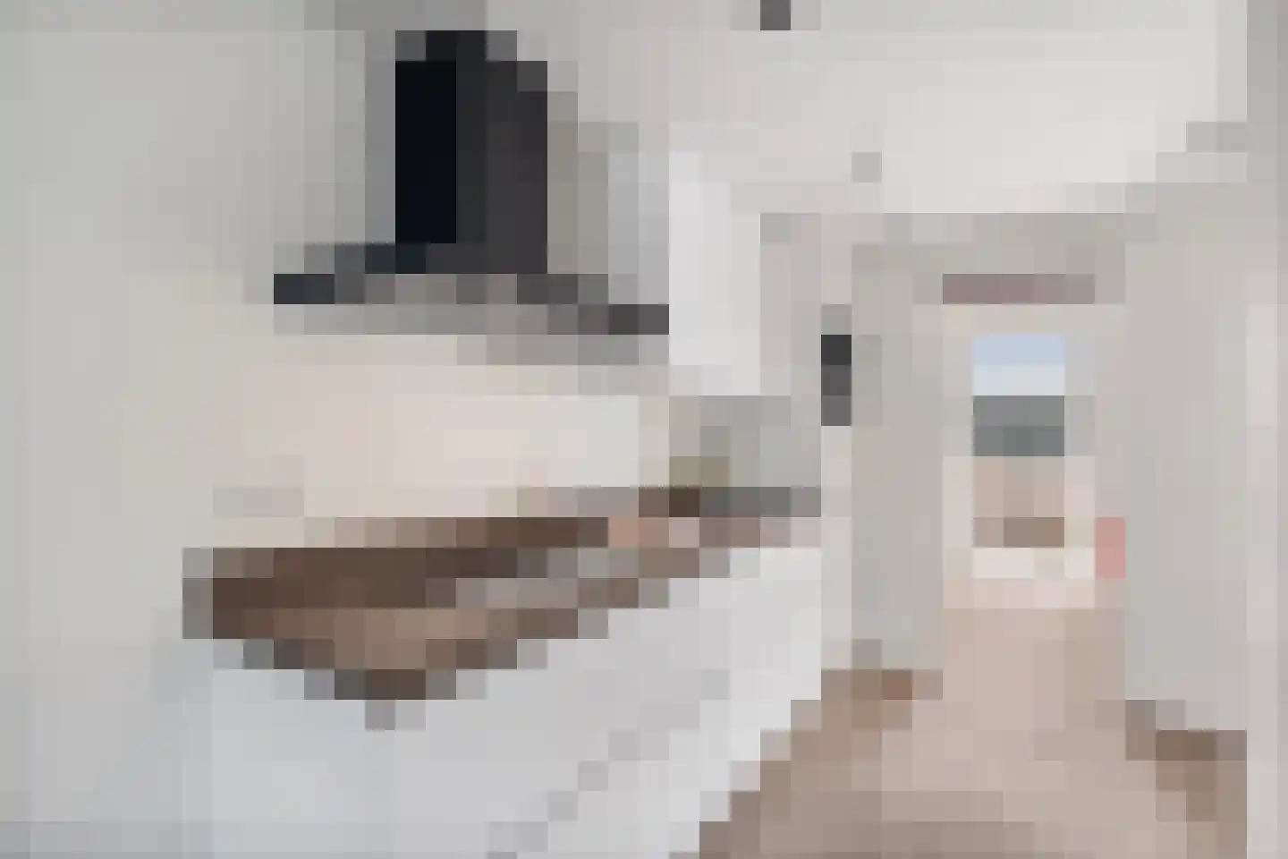 Javastraat 86 E Amsterdam thumbnail 14