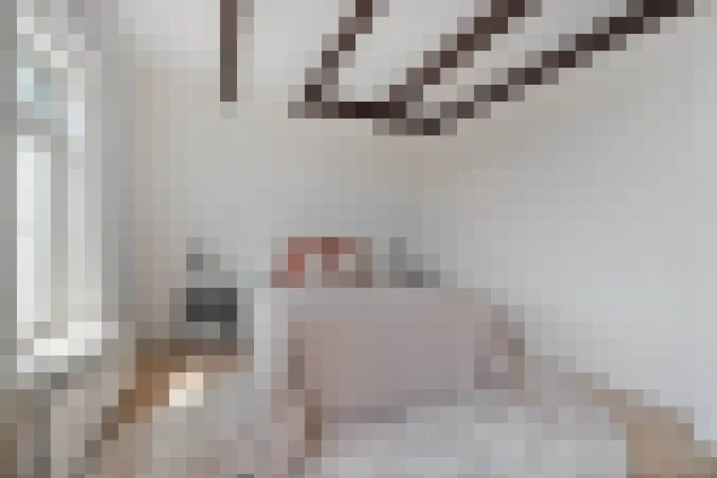 Javastraat 86 E Amsterdam thumbnail 17