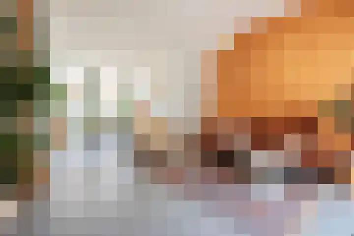 Javastraat 9 Haarlem thumbnail 13
