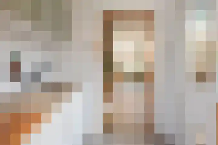 Javastraat 9 Haarlem thumbnail 17