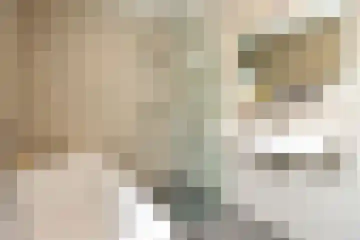 Javastraat 9 Haarlem thumbnail 21