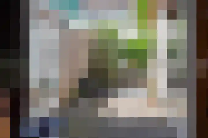 Javastraat 9 Haarlem thumbnail 23