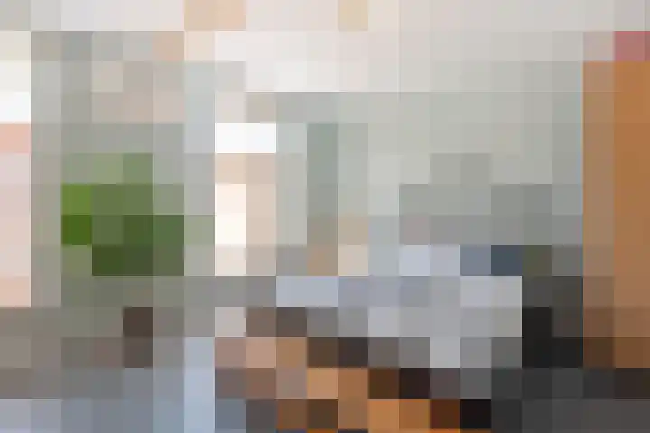 Javastraat 9 Haarlem thumbnail 35