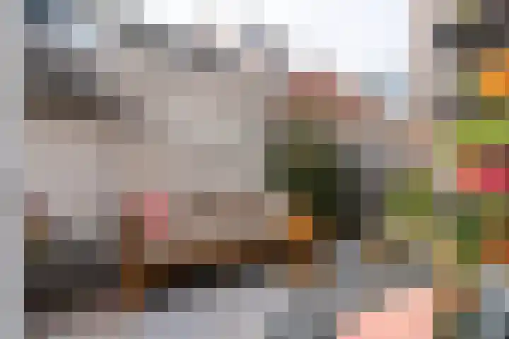 Javastraat 9 Utrecht thumbnail 21