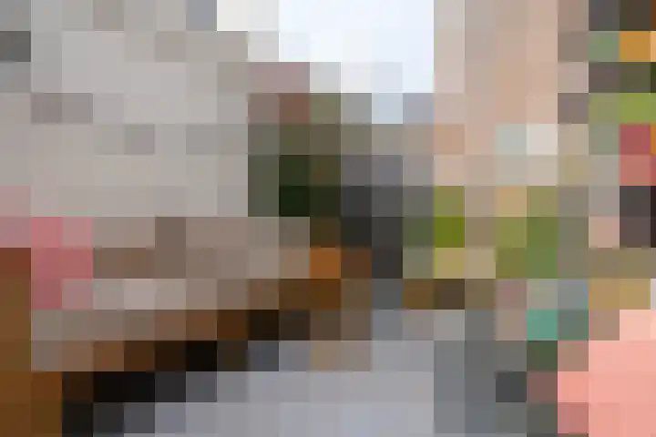 Javastraat 9 Utrecht thumbnail 22