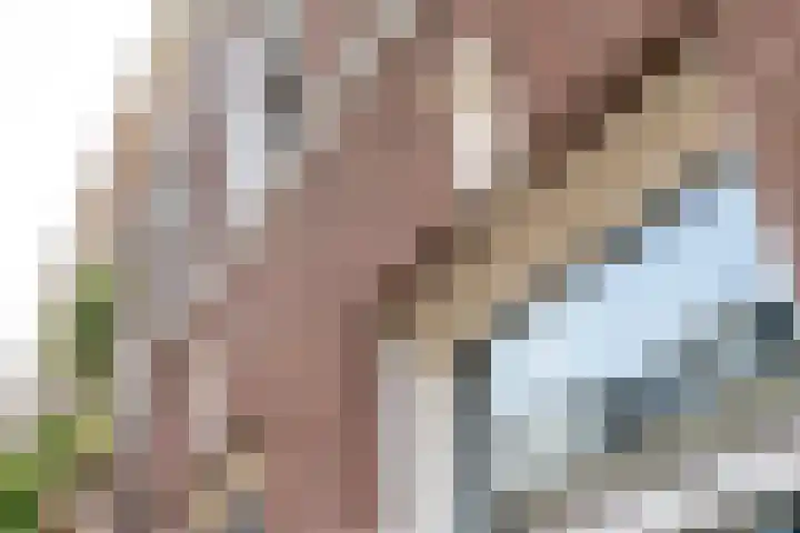 Javastraat 9 Utrecht thumbnail 5