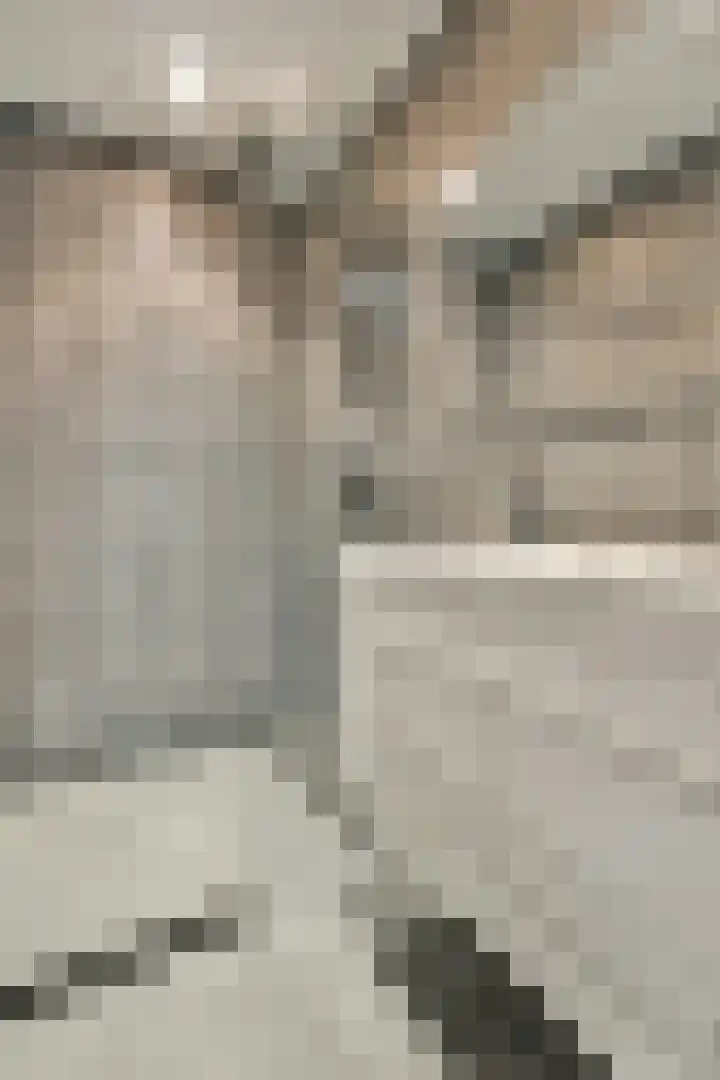 Javastraat 90 3 Amsterdam thumbnail 15
