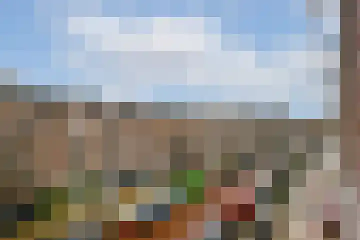 Javastraat 90 3 Amsterdam thumbnail 9