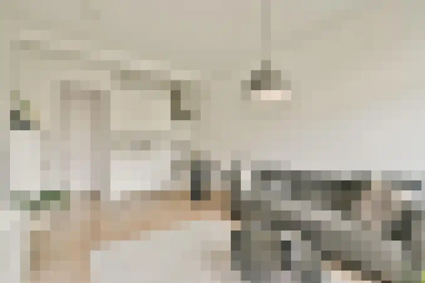 Javastraat 91 2 Amsterdam thumbnail 6